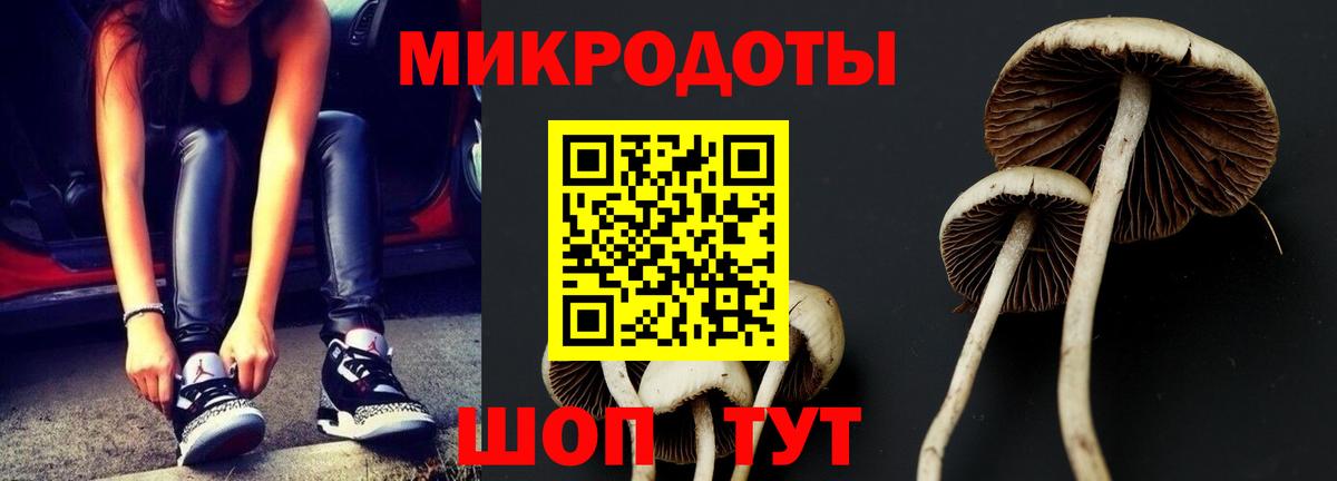 Галлюциногенные грибы Magic Shrooms Батайск